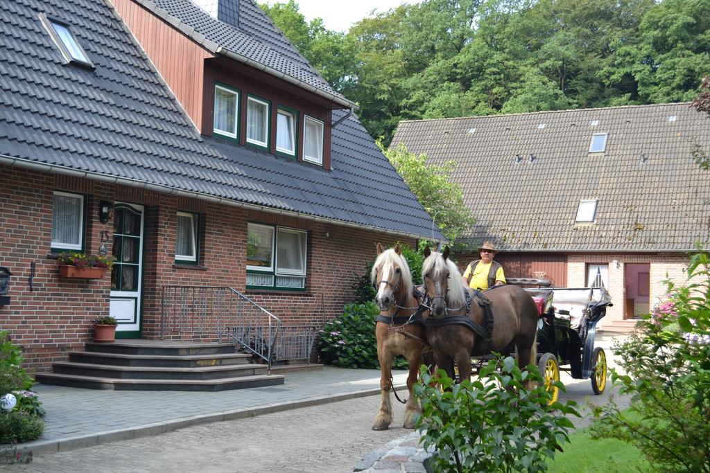 Apartment Hillmer Bispingen Kültér fotó